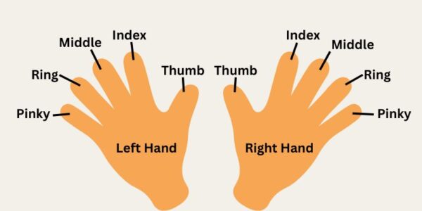 What Is The Meaning Of Wearing Rings On Different Fingers? - Adeler 